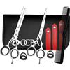 OCBA Forbici Parrucchiere Professionali 6 Pollici Forbici Capelli Acciaio Inossidabile per Taglio di capelli adatto di Uomini e Donne (6,5 pollici argento set)