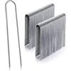 GardenMate 100 picchetti di fissaggio in acciaio zincato inossidabile, H200 mm, L25 mm, Ø3,8 mm, testa rotonda, per pavimenti molto duri