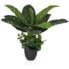 HJH Office pianta artificiale 80cm DIEFFENBACHIA Pianta d'appartamento tropicale artificiale, pianta decorativa in vaso nero