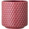 Nordring Vaso Dotty - per Fiori da Interno e Piante da Interno, Piante grasse, Cactus, Orchidee L (15,5 cm ø), Rosso, Ceramica Gres
