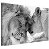 B&D XXL - Quadro Leone e Leonessa in Amore 60x40 cm 1 Pezzo - Stampa su Tela Strutturata - Quadri Moderni Camera da Letto - Pannelli Decorativi per Pareti Decorazioni da Parete Decori g-B-0034-b-b