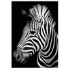 Panorama Quadro su Tela Canvas Stampe da Parete Zebra 50x70cm - Telaio in Legno Incluso - Quadri Moderni Soggiorno