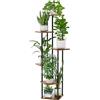 Bamworld Supporto per piante alto Indoor, scaffale per piante metallico a 6 livelli per piante multiple, supporto per fiori ad angolo per patio, balcone, camera da letto (6 livelli)