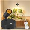 Dehobo Applique Camera da Letto con Telecomando - Faretto a Batteria 3 Temperature di Colore - Faretto LED di Ricarica USB Intensità Variabile con Funzione Timer - Adatto per Arte, Piante, 1 Pezzo
