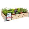 Garronda Orto Rialzato da Esterno con Stampa - Cassoni Orto Decorativi, Aiuola Rialzata in Legno 120x80x20 cm per Piante, Fiori, Erbe, Frutta e Verdura GD-0075 (Ape, 1 pz)