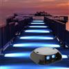 Quntis 4 Pezzi Faretto Segnapasso da Esterno Solare, Luci Blu Segnapassi Solari da Esterno IP65 Impermeabile Lampade Solari da Giardino per Scale Vialetto Ponte Cortile Sentieri