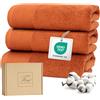 Ferò Set Asciugamani Ospite Lusso 3 Pezzi, Cotone Premium 100% 550 g/m², OEKO-TEX, Asciugamani Piccoli Ultra Morbidi e Assorbenti, Design Italiano, Asciugamani Bidet 30x50 cm, Terracotta