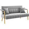 Yaheetech Divano Imbottito a 2 Posti in Velluto Divanetto da Salotto con Braccioli 143,5 cm × 71,5 cm × 75,5 cm Sofa Moderno con 2 Cuscini Divano per Soggiorno Camera da Letto Grigio Chiaro