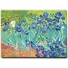 Giallobus - Quadro - Vincent Van Gogh - Iris - Tela Canvas Telaio Standard - 140L x 100l cm - Pronto da appendere - Quadri moderni per la casa