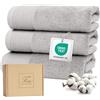 Ferò Set Asciugamani Ospite Lusso 3 Pezzi, Cotone Premium 100% 550 g/m², OEKO-TEX, Asciugamani Piccoli Ultra Morbidi e Assorbenti, Design Italiano, Asciugamani Bidet 30x50 cm, Grigio Chiaro