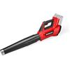 Einhell Spazzafoglie Einhell Professional GP-LB 36/230 Li T BL-Solo Power X-Change (36 V, aria 230 km/ora, Brushless, regolaz. giri, tubo 3 stadi, senza batteria)