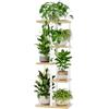 Bamworld Porta Piante da Esterno Portavasi da Interno Scaffale per Piante Balcone Mensola Angolare 5 Ripiani Giardino Bonsai Arredo Giardino Mobili Arredamento（Bianco）