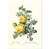 Panorama Poster Stampe da Parete Rosa Gialla Vintage 35x50cm - Stampato su Carta 250gr - Quadro di Fiori