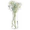 KROSNO Vaso Alto in Vetro per Fiori | Altezza 24 cm | Vaso - Caraffa | Collezione Pure | Cristallo senza piombo | Ideale per casa, ristorante o ufficio