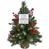 Get Trend Albero di Natale con Luci Incorporate, 50 cm Alberi di Natale Piccoli LED a Stringa e Punte Smerigliate, Decorazioni Natalizie per Tavolo e Ufficio (Verde)
