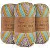 Utopia Crafts Re-Colour Ombre - Filato per lavori a maglia e uncinetto, 3 confezioni da 100 g (fiori freschi)