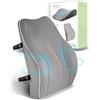 Travel Ease Cuscino Lombare Ergonomico, Supporto per la Schiena in Schiuma di Memoria per Seggiolino Auto Sedia da Ufficio, Schienale con Rivestimento Antistatico e Doppie Cinghie Regolabili, Grigio