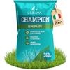 LERAVA CHAMPION semi prato (360m²) - festuca arundinacea di qualità - resistente a siccità e alte temperature - prato verde scuro fine - ideale per giardini e spazi verdi