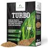 LERAVA TURBO Semi Loietto Perenne (10 m²) - Semi prato a Crescita Rapida - Fine Tessitura - Sementi per Prato Resistente e Denso - Erba da Giardino Verde Brillante - Ideale per Sole e Ombra