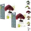 CULTIVEA Set di 2 kit pronti per la coltivazione di bonsai - Semi francesi 100% ecologici - Giardinaggio e decorazione - Idea regalo (acero rosso, cercis cinese, ginepro, liquidambar, abete rosso)