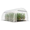 Outsunny Serra da Giardino a Tunnel 3x4x2 m con 2 Porte Avvolgibili, Serra per Orto con 4 Rinforzi Diagonali, Struttura in Acciaio e Copertura PE, per Orto Verdure Fiori Frutta, Anti UV, Trasparente