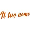 VENEZIANO Gruppo Veneziano - Scritta in plexiglass personalizzata 30-40-50-75 cm - nome in plexiglass specchiato personalizzato - Altezza massima 15cm spessore 3 mm - 100% made in Italy