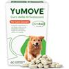 YuMOVE Integratore Articolazioni Cane Giovani Fino a 5 Anni - 60 Compresse - In Attesa di Brevetto Naturale Cozza Verde ActivEase - Joint Care Cani con Glucosamina, Condroitina Cani In Crescita