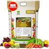 Albagarden - Concime Granulare di Solfato Ammonico MAXI 4 Kg - Concime con Azoto Ammoniacale a Cessione Progressiva + Zolfo - Migliora Sapore e Crescita - Per tutte le Piante