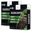 LERAVA Radicante per Piante (2x100 g) - Ormone Radicante Naturale per Talee - Enzimi Attivi per Radici Forti - Microflora e Azoto per Crescita Rapida - Ideale per Talee e Piante