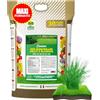 Albagarden - Concime Prato x 5 KG - Fertilizzante Granulare Per Tappeto Erboso E Da Semi - Ottimo Per Tutte Le Varietà Di Erba, Erbetta, Prato A Rotoli Resistente