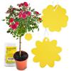 Chillife Trappola per moscerini I 20 trappole anti moscerini piante interno I Adesivi gialli efficaci ed ecologiche I fly catcher trap mosche antimoscerini