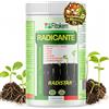 FITOKEM Radistar - Effetto Ormone Radicante per Talee in Polvere (800 gr) Radicante per Piante, Limone, Orchidee, Micorrize Bio, Stimola la Produzione e la Crescita Naturale delle Radici Made in Italy