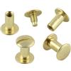 KLEBESHOP24 Viti Chicago M4 per rilegatura - lunghezze e quantità a scelta - per pelle e rilegatura libri - ottonate, 12 mm, 20 pezzi