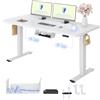 FLEXISPOT Scrivania Regolabile in Altezza 160x80 cm, 2 Motori, Piano Unico 25 mm, Memoria & Display Altezza, Ergonomica con Gestione Cavi, Ripiano Sottoscrivania, Ganci e Clip Fermacavi