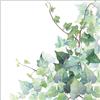 Ambiente Tovaglioli da 33 cm, colore bianco (set da 20)