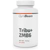 GymBeam Tribulus Terrestris - con ZMA, Supporto Testosterone Naturale, Energia e Prestazioni Maschili, 800 mg Estratto Tribulus, Zinco Chelato, Vitamina B6, Magnesio, Senza Glutine e Lattosio, 90 cps
