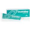 Cicatridina FARMA-DERMA Cicatridina Unguento Nasale 15 g con Acido Ialuronico | Idratazione e Protezione Mucosa Nasale per Secchezza, Croste e Irritazione | Lubrificante e Emolliente | Protegge da Agenti Esterni