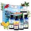 Veddelholzer Infusione per sauna BIO da oli essenziali 100% naturali puri 4 x 100 ml diversi oli per sauna profumo per sauna accessori per sauna come set regalo tutto in un set