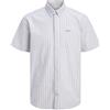 JACK & JONES Stripe Shirt Jjdevin-Maglietta a Righe SS Pls, Bianco, 5XL Uomo