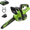 Greenworks 24V Motosega Senza Fili Brushless, 25cm Motosega Elettrica con Batteria 2Ah e Caricabatterie USB C 30W, Olio Automatico, Velocità Catena 7.8m/s