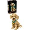 LEGO CUCCIOLO DI GOLDEN RETRIEVER MODELLO 3D ICONS PER ADULTI KIT DI MODELLISMO