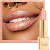 OULAC Rossetto Opaco Finitura Metallica, Matte Rossetti Pesca Nudo Glitterato Idratazione e Lucentezza a Lunga Durata per le Labbra, Texture Fine Colore Intenso, 4,3g (GM06) Hugs
