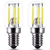 Akynite Lampadina Basculante Garage 24V E14 3W Luce Fredda 6000K, T22, Lampadina Cancello E14 25W Equivalente, 250LM, LED E14 12V DC Filamento Tubolare per Camper, Lampadine Votive 24V, set di 2