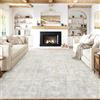 PureCozy Tappeto Salotto Tappeti 300x400cm Beige Lavabile in Lavatrice Antiscivolo Moderno Astratto Naturale Grande Carpet Cameretta Scendiletto Camera da Letto Ufficio Pelo Corto
