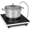 KLARSTEIN Cook n Roll - Piano Cottura a Induzione Singolo, 2000W, Fornello: 26 cm Ø, 10 Livelli di Temperatura, 6 Programmi di Cottura, Funzione SousVide, HeatControl: Incluso Termometro, Nero