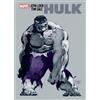 Jeph Loeb Jeph Loeb & Tim Sale: Hulk (Tascabile)