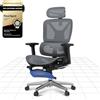FLEXISPOT ErgoX - Sedia ergonomica da ufficio in rete con poggiapiedi, poggiatesta 3D, supporto lombare, schienale 5D regolabile, braccioli 3D, seduta traspirante, ruote, 130 kg