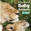 My First Book of Baby Animals (National Wildlife Federation) (Libro di cartone)