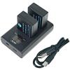 QIAO JIN LIN Batteria di ricambio (confezione da 2) e caricatore USB Dual LED Smart compatibile per DMW-BLC12 DMW-BLC12E DMW-BLC12PP as BP-DC12 BP-DC12U BP-DC12E