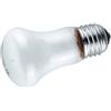 FOMEI Lampada da 100 W Digitalis